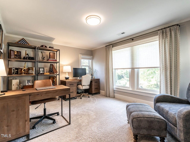 2303 Byrd St, Raleigh, NC 27608 - office space featuring ornamental molding, light carpet, and baseboards