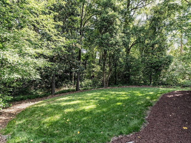 2303 Byrd St, Raleigh, NC 27608 - view of green lawn with a view of trees