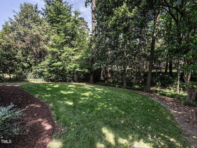 2303 Byrd St, Raleigh, NC 27608 - view of grassy yard