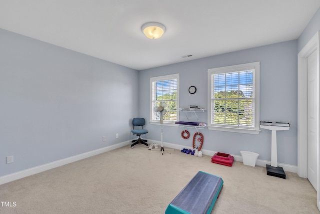 107 Stargrass Ave, Clayton, NC 27527 - exercise area featuring carpet flooring and baseboards