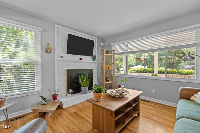 living room with a fireplace, healthy amount of natural light, a textured ceiling, and baseboards