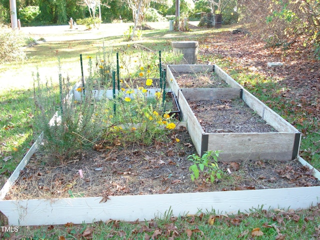 6383 Elevation Rd, Benson, NC 27504 - exterior view of a vegetable garden