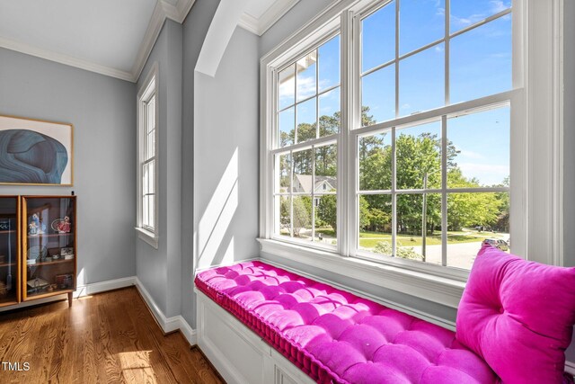 100 Michaels Way, Chapel Hill, NC 27516 - bedroom featuring crown molding, multiple windows, wood finished floors, and baseboards