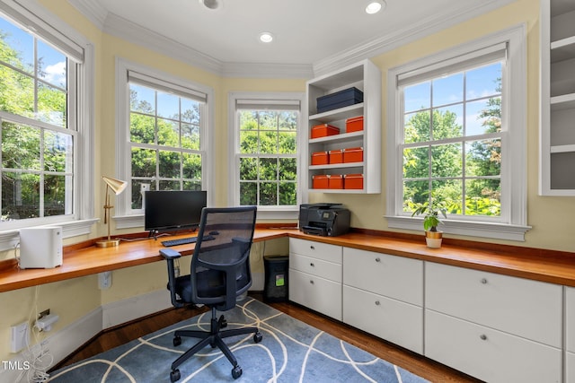 100 Michaels Way, Chapel Hill, NC 27516 - office featuring built in study area, dark wood-style flooring, plenty of natural light, crown molding, and recessed lighting