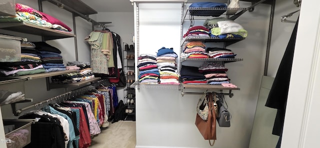 view of spacious closet