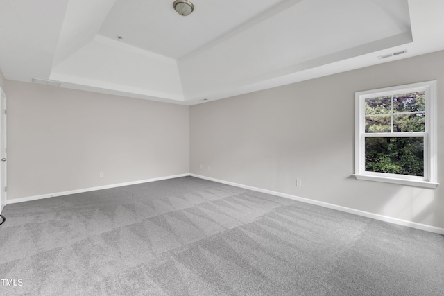 5025 Stonewood Pines Dr, Knightdale, NC 27545 - spare room featuring a raised ceiling, carpet, and baseboards