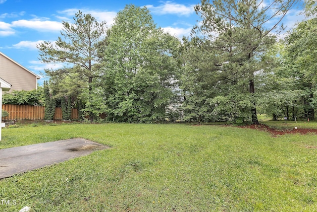 5025 Stonewood Pines Dr, Knightdale, NC 27545 - view of yard