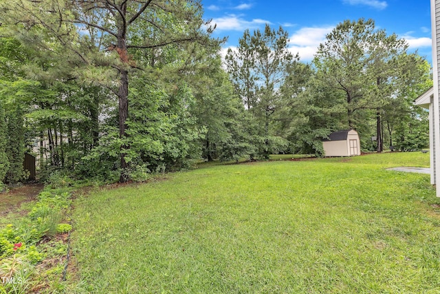 5025 Stonewood Pines Dr, Knightdale, NC 27545 - view of green lawn