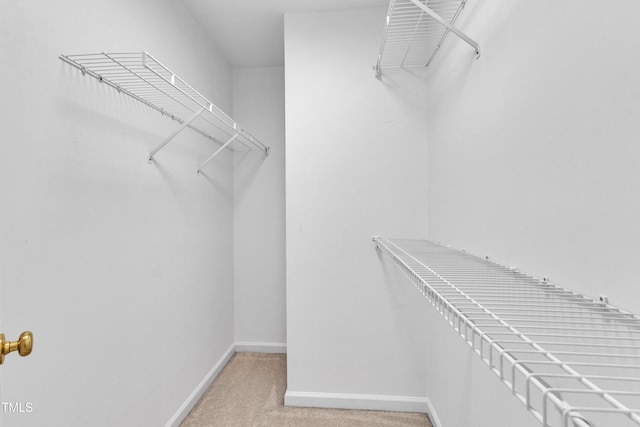 spacious closet with light colored carpet
