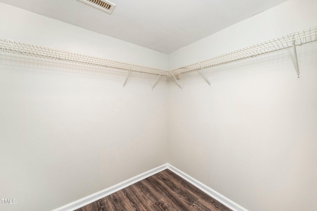 walk in closet featuring dark wood-style floors