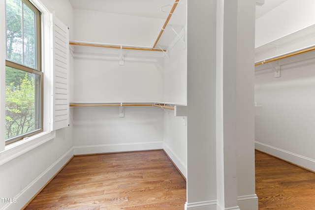 walk in closet with wood finished floors