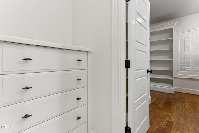 walk in closet featuring dark wood-style floors