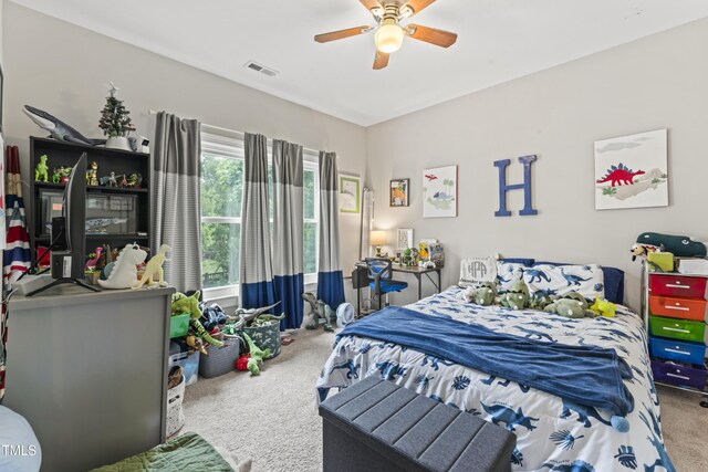 10859 Bedfordtown Dr, Raleigh, NC 27614 - photo 36