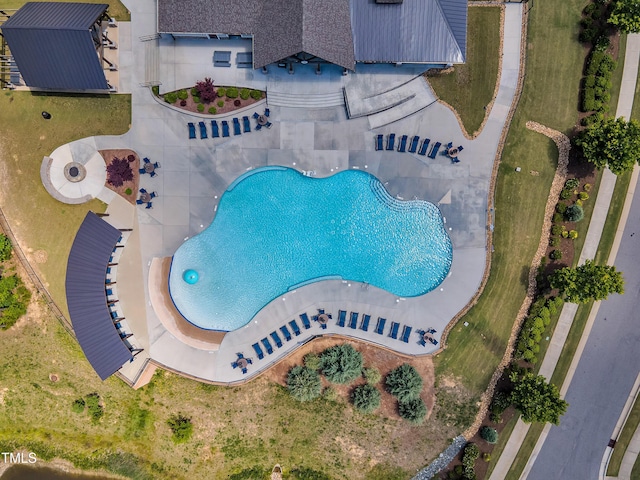 bird's eye view of a pool