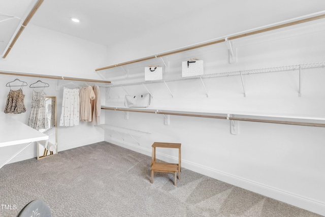 spacious closet featuring carpet floors