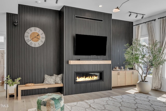 living area with wood finished floors, a glass covered fireplace, healthy amount of natural light, and rail lighting
