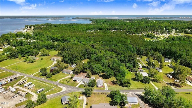 bird's eye view of a large body of water and a forest
