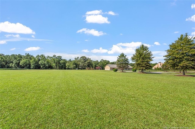 4909 Deep Branch Rd, Pembroke, NC 28372 - photo 47