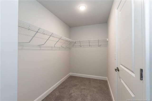 193 Falls Of The Cape Dr, Lillington, NC 27546 - photo 16