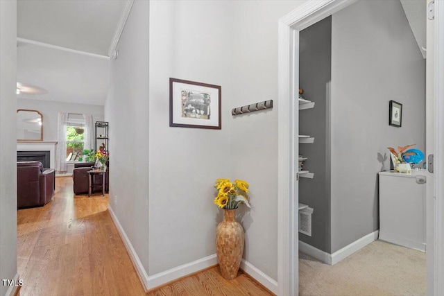 corridor featuring baseboards and wood finished floors