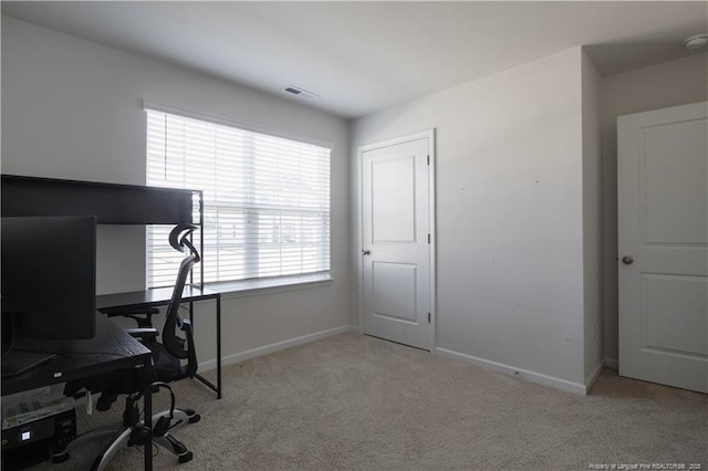 1132 Fowler Dr, Greenville, NC 27834 - photo 12