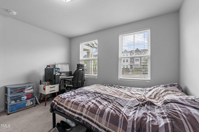 6352 Perry Creek Rd, Raleigh, NC 27616 - bedroom featuring multiple windows and carpet flooring