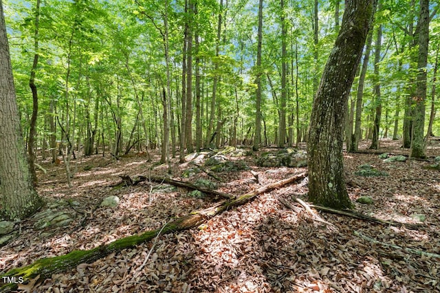 2853 Franklin Rd, Hillsborough, NC 27278