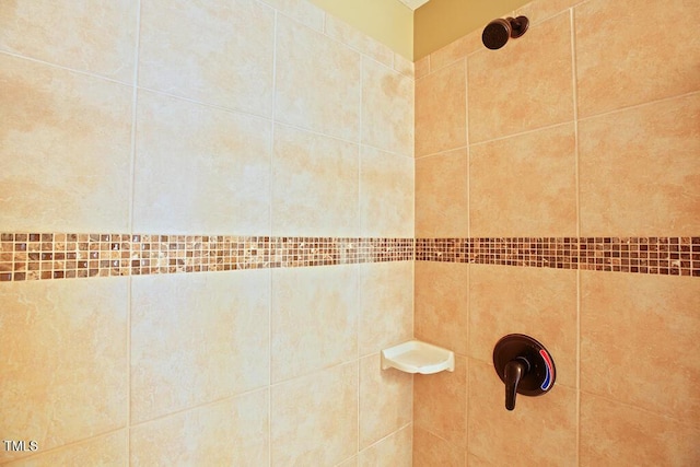 337 Shadowdale Ln, Rolesville, NC 27571 - bathroom view of tiled shower