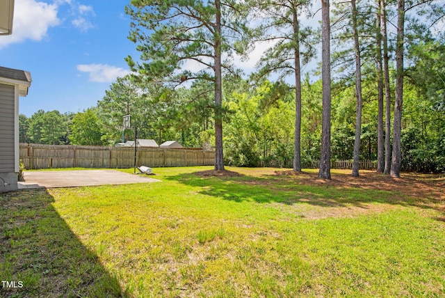 4013 Lifestyle Rd, Fayetteville, NC 28312 - photo 43