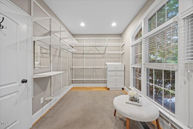 2507 Mayview Rd, Raleigh, NC 27607 - spacious closet with wood finished floors