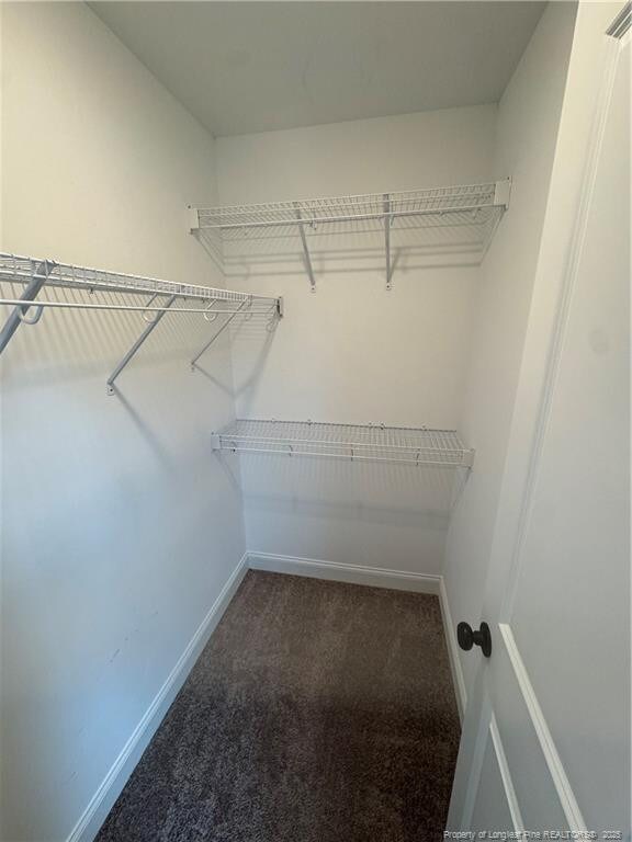4161 Overhills Rd, Spring Lake, NC 28390 - walk in closet featuring carpet flooring