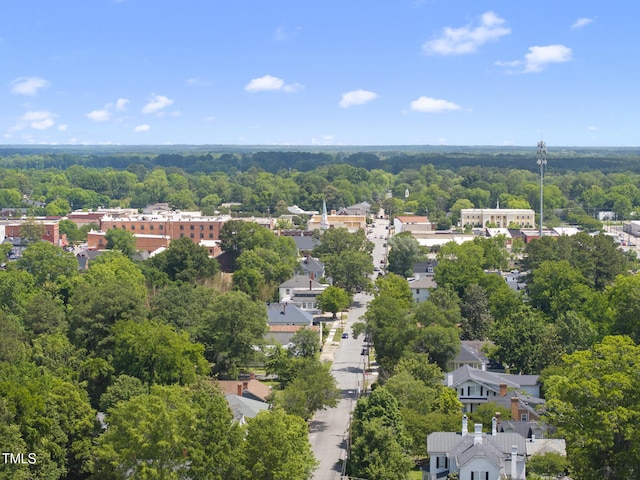 drone / aerial view of a forest