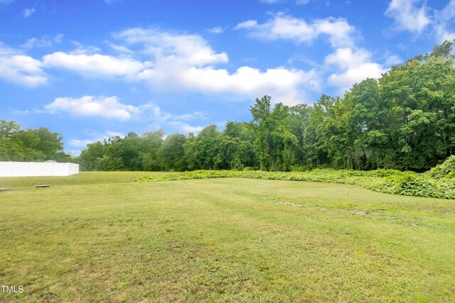 1109 Agio Ct, Zebulon, NC 27597 - view of yard