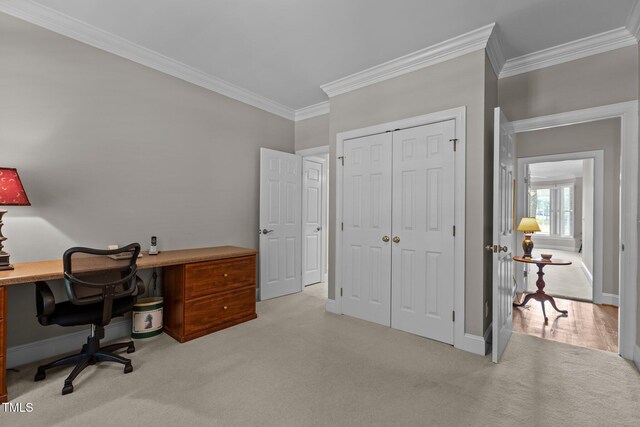 office space with carpet floors, crown molding, and baseboards
