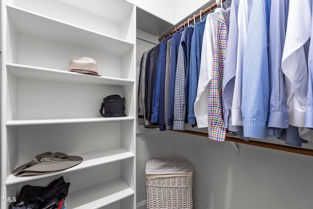 view of spacious closet
