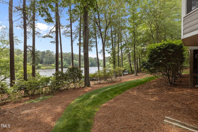 view of yard featuring a water view