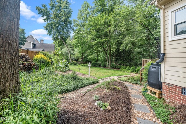 203 W Hill Dr, Cary, NC 27519 - view of yard