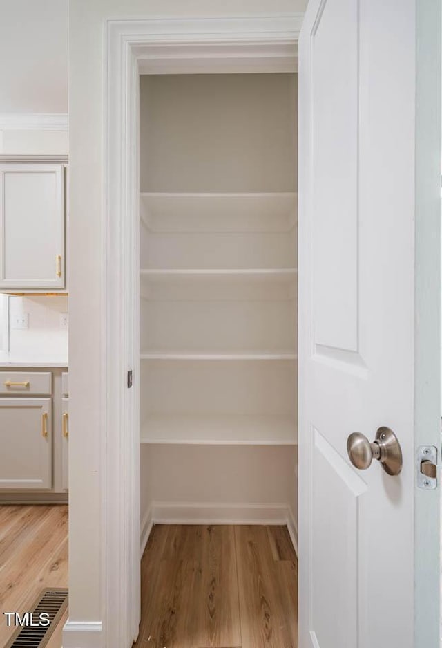 view of closet