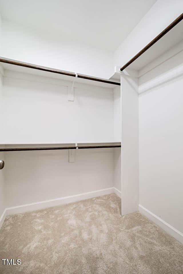 spacious closet with carpet flooring