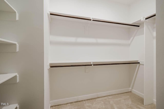 walk in closet featuring light carpet