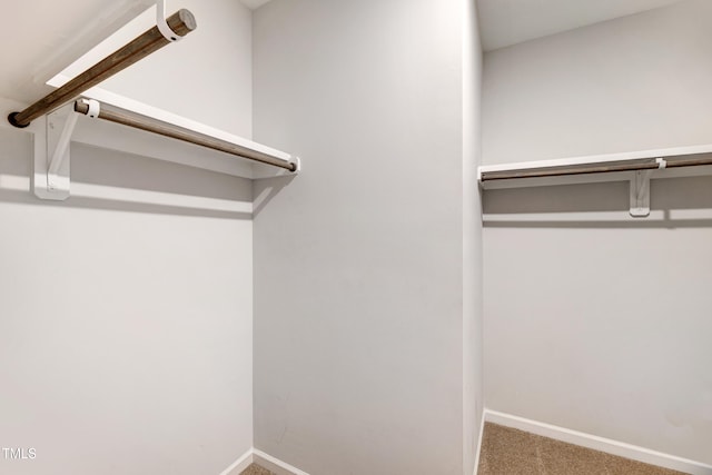 108 Wilson Farm Ln, Clayton, NC 27527 - photo 31