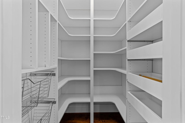9164 Wooden Rd, Raleigh, NC 27617 - view of pantry