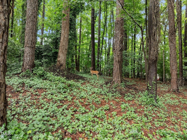 1706 Rangecrest Rd, Raleigh, NC 27612 - view of wooded area