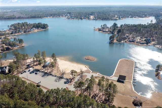 bird's eye view of a large body of water and a heavily wooded area