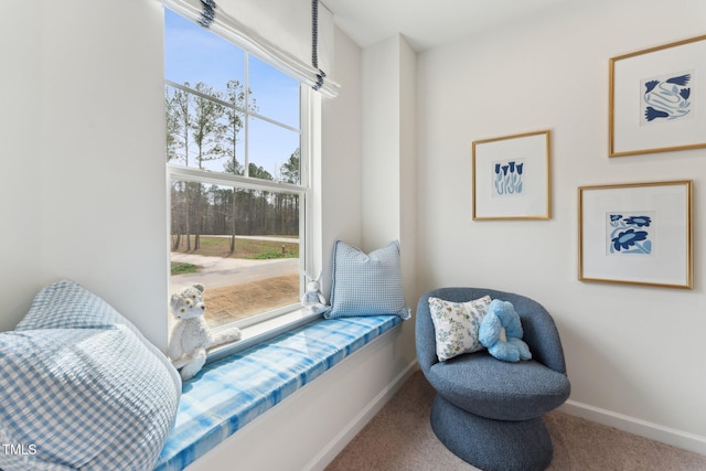 27 Cribbs Ln, Middlesex, NC 27557 - sitting room featuring carpet flooring and baseboards
