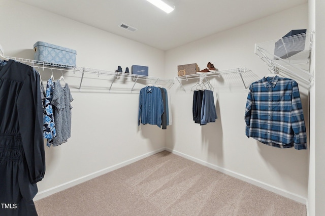 27 Cribbs Ln, Middlesex, NC 27557 - walk in closet with carpet