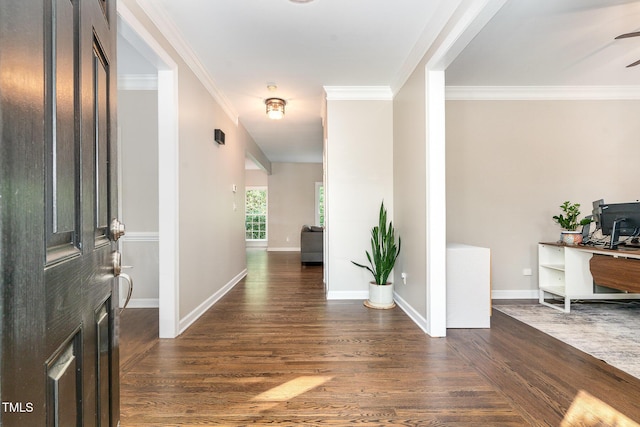 entrance foyer featuring dark wood finished floors, crown molding, a ceiling fan, and baseboards