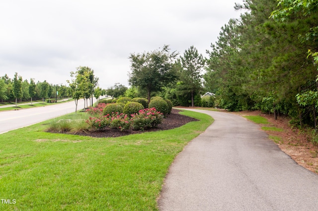 1013 Poppy Fields Ln, Wake Forest, NC 27587 - surrounding community featuring a yard and view of scattered trees