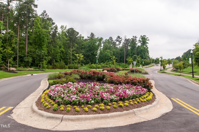 1013 Poppy Fields Ln, Wake Forest, NC 27587 - surrounding community