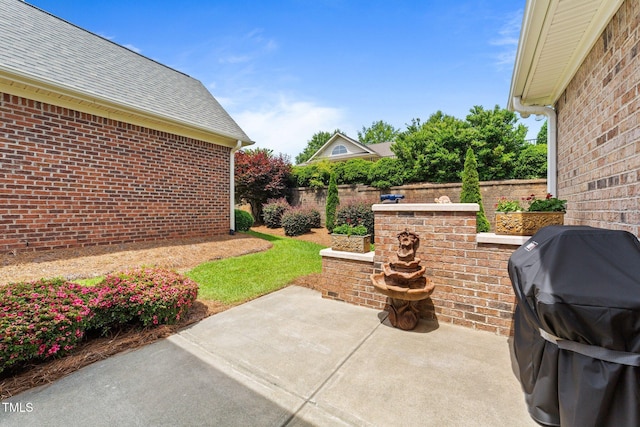 232 Shady Hollow Ln, Garner, NC 27529 - view of patio with grilling area